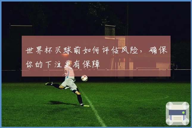 世界杯买球前如何评估风险，确保你的下注更有保障