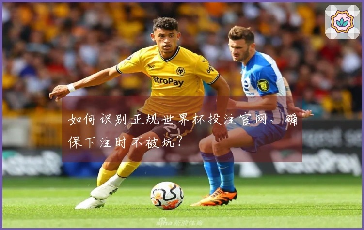 如何识别正规世界杯投注官网，确保下注时不被坑？