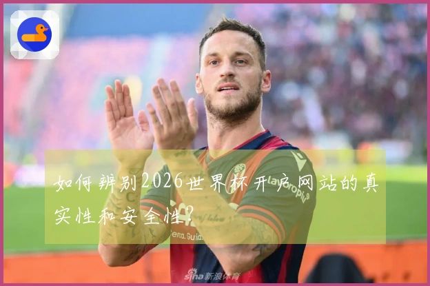 如何辨别2026世界杯开户网站的真实性和安全性？