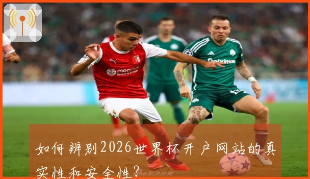 如何辨别2026世界杯开户网站的真实性和安全性？